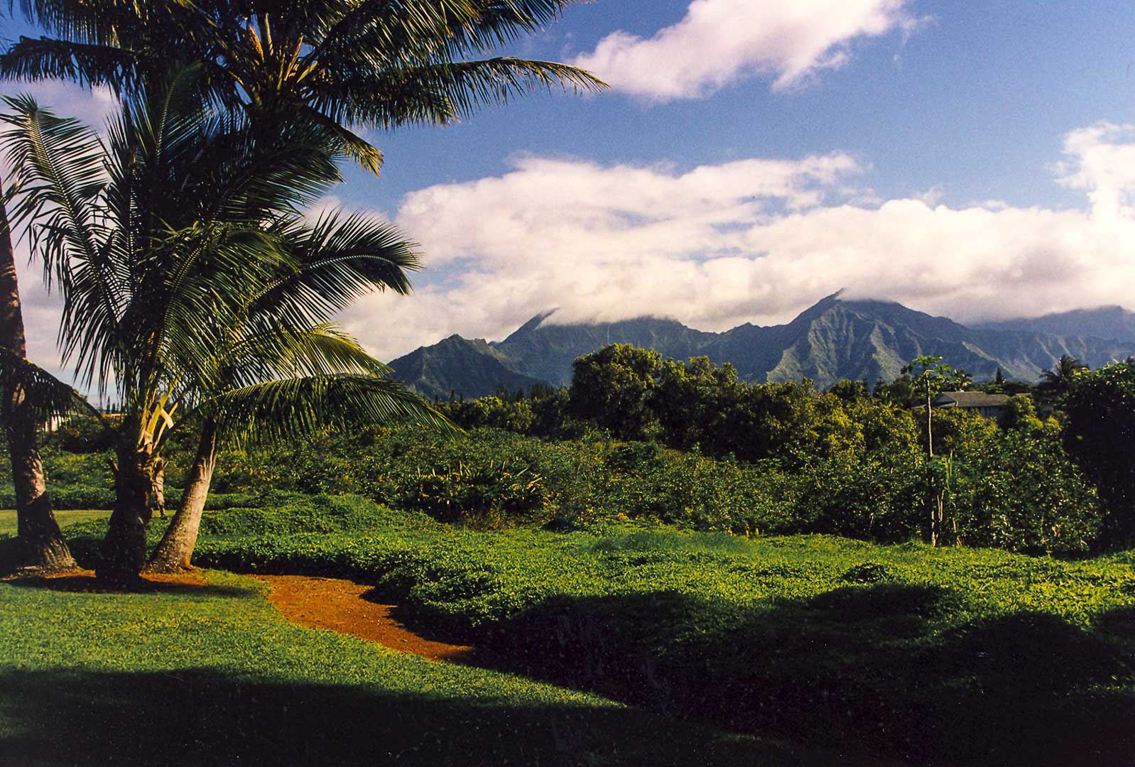 A scenic view from VRI's Alii Kai Resort in Hawaii